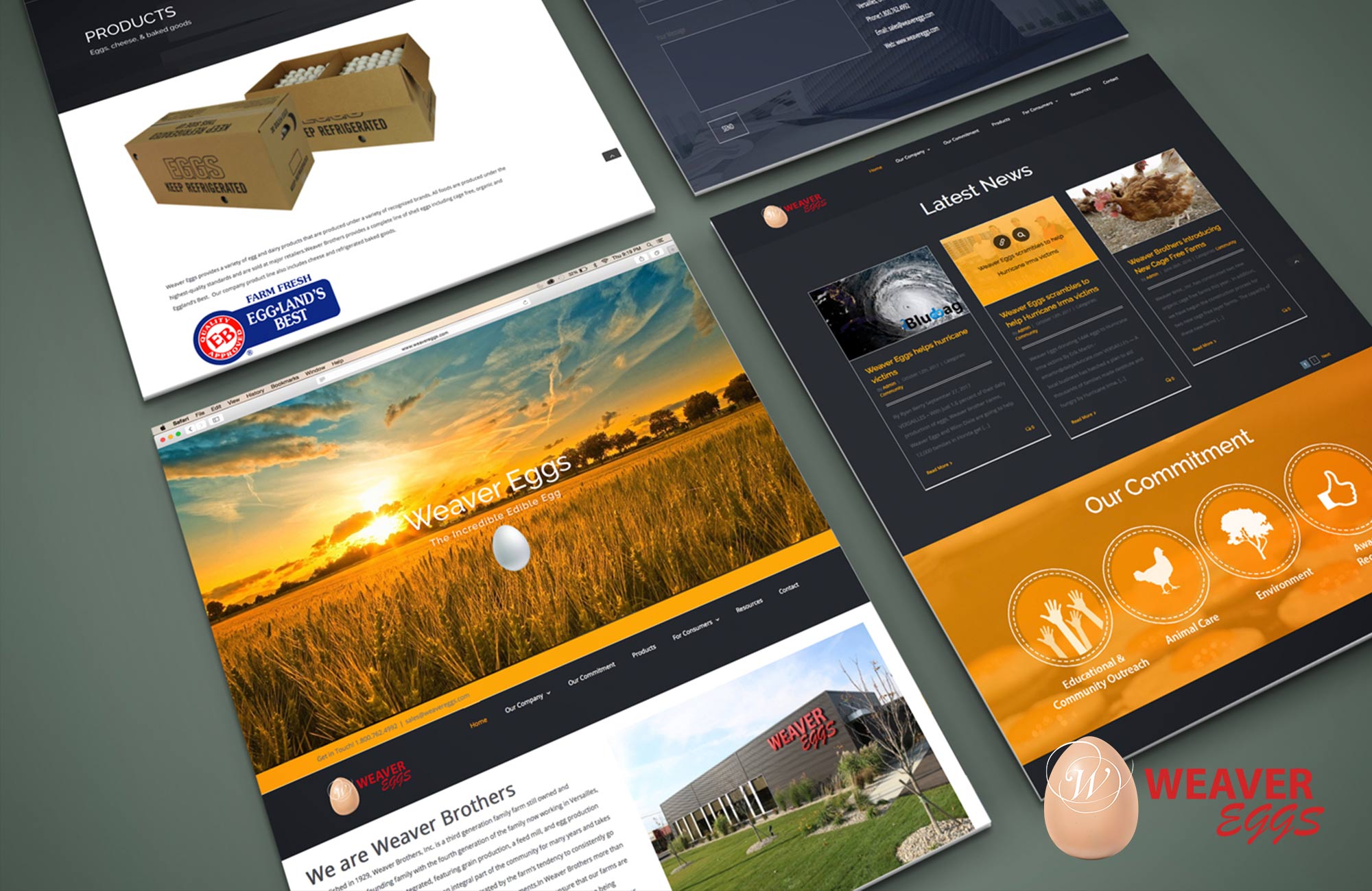 Showcase Website Design by 1922 Creative, LLC