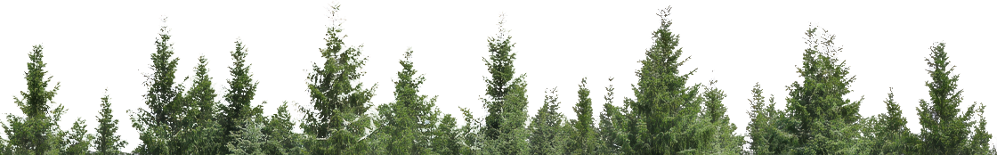pine-tree-tops-dark